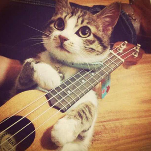 黄色国产三级片
